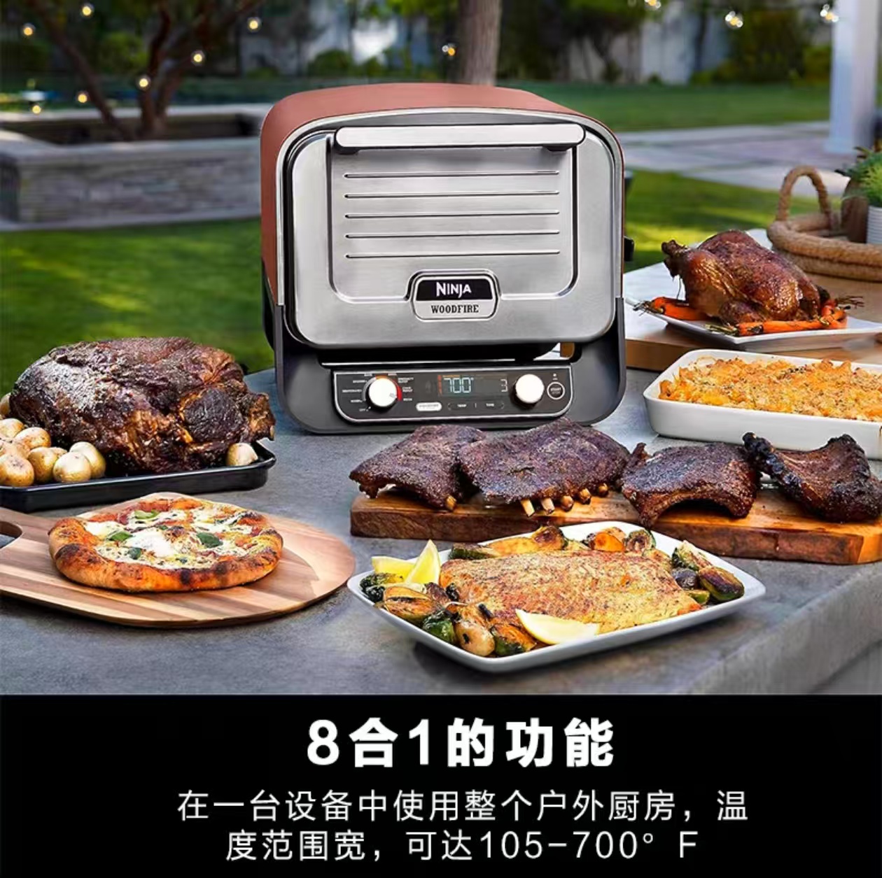 2026 Outdoor Pizza Oven for El - Camping Cooking Electric ulasan dan harga